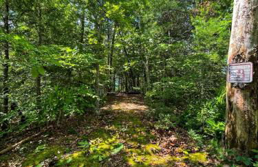 Tiny House, WIFI,Hot tub,Secluded - Foto 15