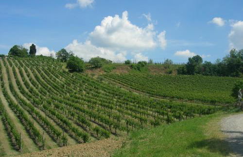 Agriturismo Gaggioli Borgo Delle Vigne - Foto 93