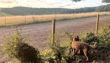 Lavender Cottage, Welton - Photo 3