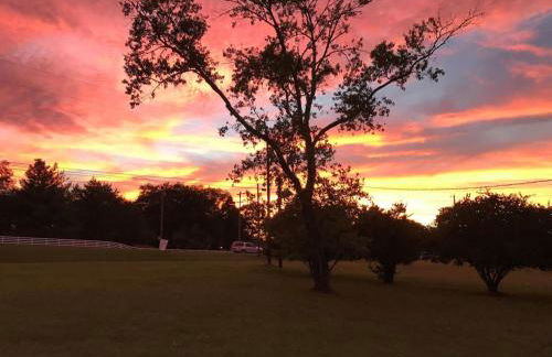 The Sunset Grove of Franklin, TN - Foto 20