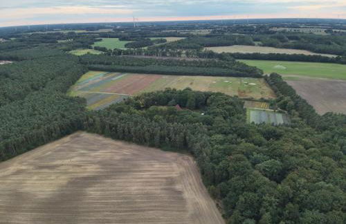 Das Blaue Haus - Foto 30