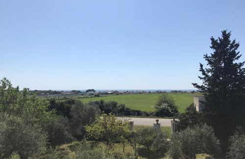 Relax Torre lapillo - Foto 13