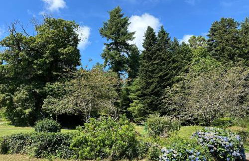 Le repaire du châtaignier, Maison à la campagne, 8 pers, 4 ch, Sidobre - Foto 36