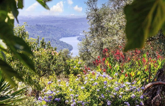 R3 Service Quinta dos Covais - Photo 13