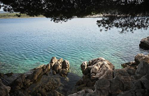 Apartments Antica - Photo 49