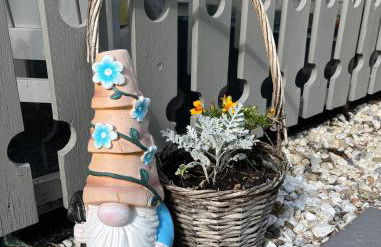 CASALINO DI ANNA - Foto 26