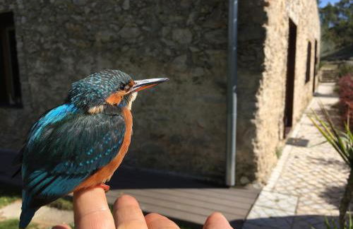 Acquavilla - Foto 11