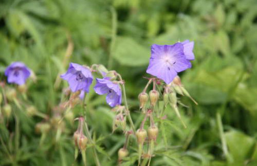 Residence Vajolet San Cassiano - Photo 38