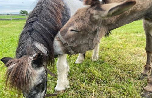 Villenouan domaine et gites - Photo 26
