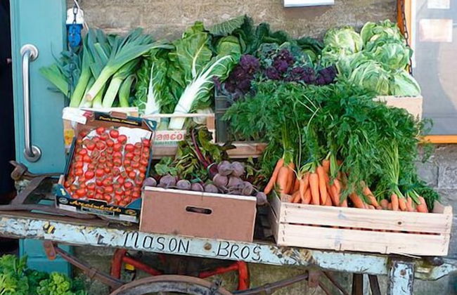 The Pavement Palace - Photo 15