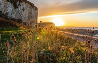 La maison de la mer séjour cosy proche plage - Photo 4
