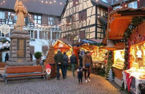 Fleur de Vigne - Foto 51