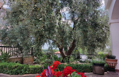 Apartment Kumbaya-Mušalež - Foto 15