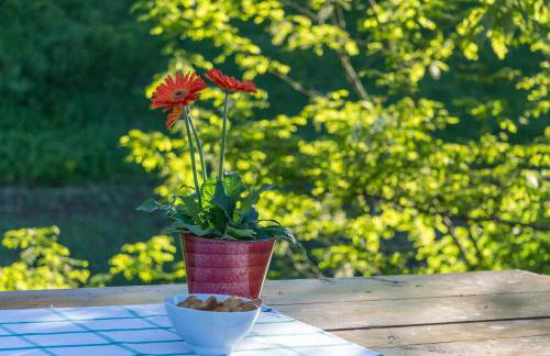 Holiday home, Apartman Obajdin - Foto 51