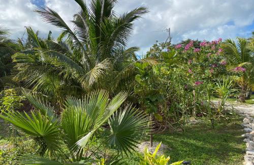 Private Estate Pool Ocean View 20 minutes to Key West - Foto 11