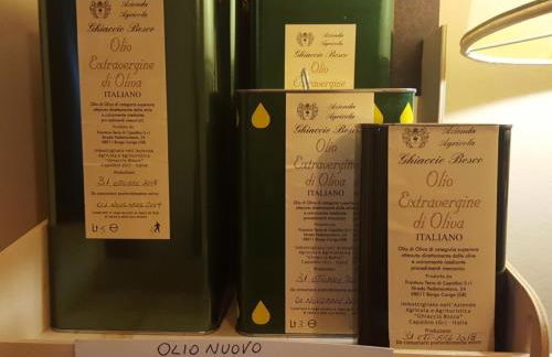 Ghiaccio Bosco - Foto 39