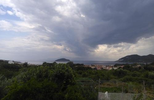 Martha's Villa - Foto 49