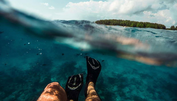 Fauna Coralina Snorkelling Activity - Foto 3