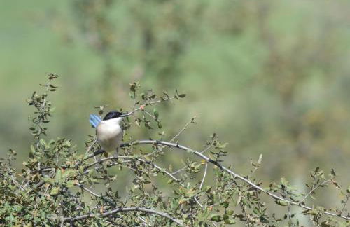 Quinta dos Trevos - Artes e Ofícios - Foto 58