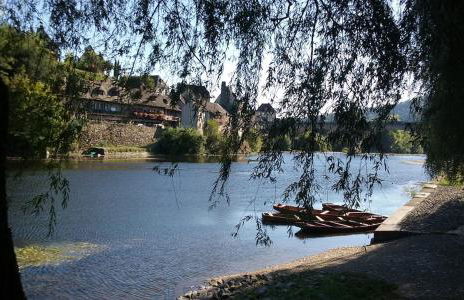 Maison tout confort avec piscine chauffée au bord des rives de la Dordogne - Foto 38
