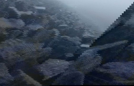 Inviting 3 Bedrooms Caravan gas Central Heating - Foto 37