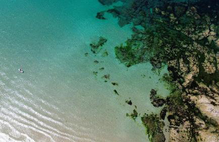 St. Kew Shepherd Huts - Foto 30