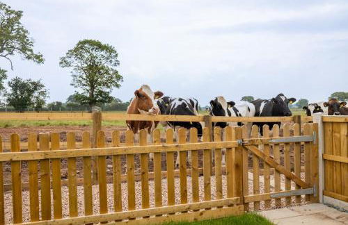 Oak at Pinfold Barns - Foto 8