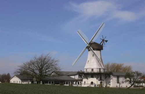 Ferienhof Jepsen - Foto 6