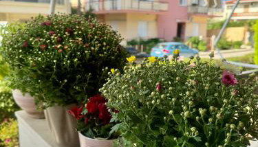 Theoxenia Paralio Astros - Foto 3