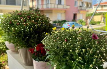 Theoxenia Paralio Astros - Foto 3