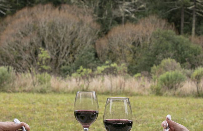 Vale Mandaçaia - Foto 10