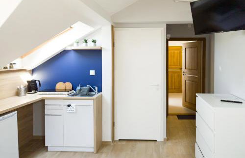 Apart Rooms & Apart Hostel S8 - Foto 71