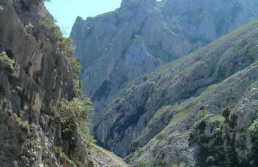 La Rondita, Fuentes, Parres, Asturias - Photo 26