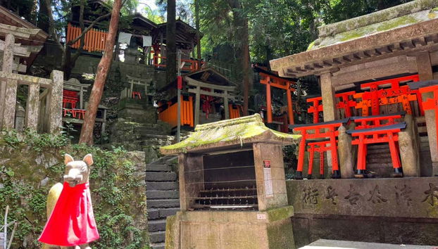 Kyoto è imprescindibile per conoscere la storia del Giappone