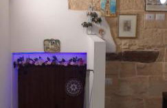 Le camelie - Foto 77