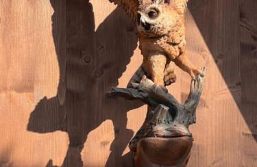 Märchenhütte- Campen am Wald und See - Photo 15