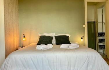 Loft avec parking centre Tours et bord du Cher Loire Valley - Foto 2