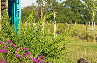 Bluebell Cabin - Foto 21