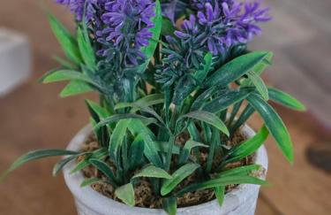 Serviced Apartment - Aberdeen - Foto 14