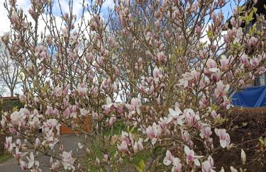 Ferienwohnung Biebes - Foto 10