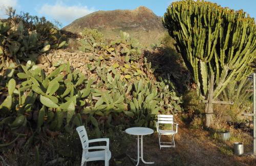 Finca Patio Canario - Foto 27