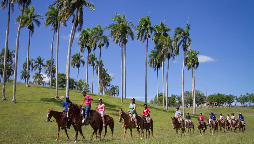 Super Truck Safari - Half Day Tour - Photo 2