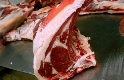 Tenuta Montelaura - Foto 42