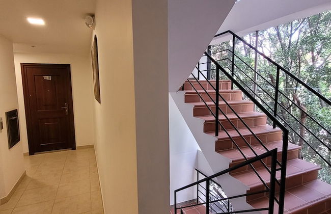 EDIFICIO FENICIA - Foto 36