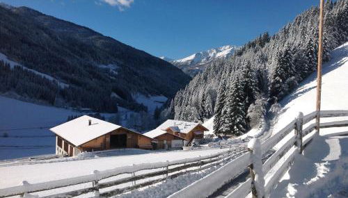 Biohof Hamann - Foto 3