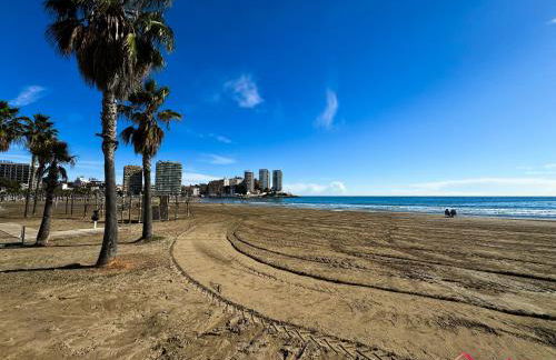 Concha Dorada - Foto 36