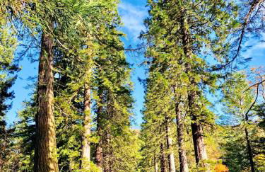 Eckford House - Foto 33