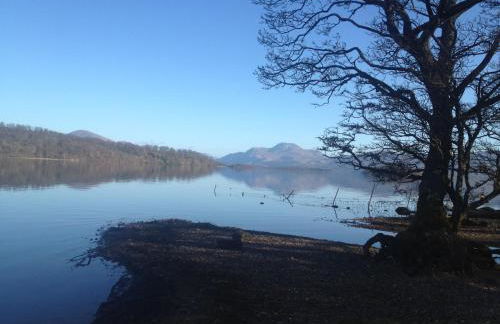 Shegarton Farm Cottages - Foto 39