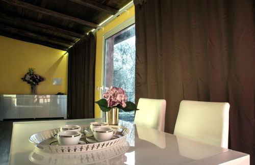 IL CICLAMINO POOL FOR YOUR SOLE USE BIG IN-GROUND - 70m2 house & 300m2 outdoor, child & pet friendly, 10 minutes drive to Montebello Station connecting to Rome centre in 20 minutes, 3 minutes drive to supermarket -4 language warm guest care - Foto 17