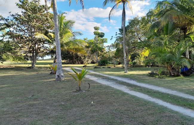 PARADISE CREEK COTTAGES - Foto 20